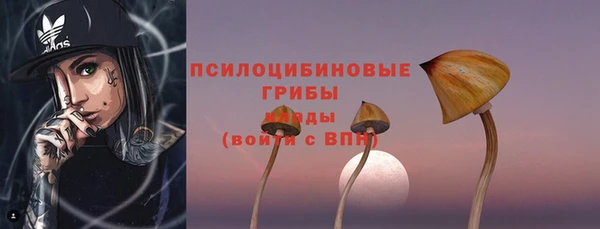 МДПВ Алзамай