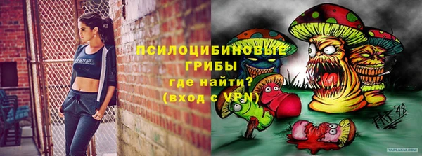 МДПВ Алзамай