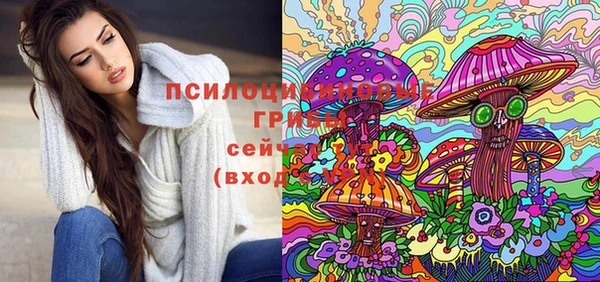 прущий лед Алексин