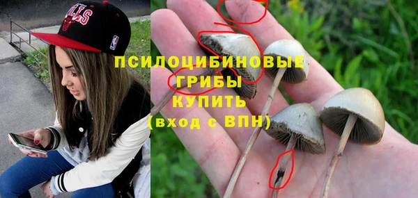прущий лед Алексин