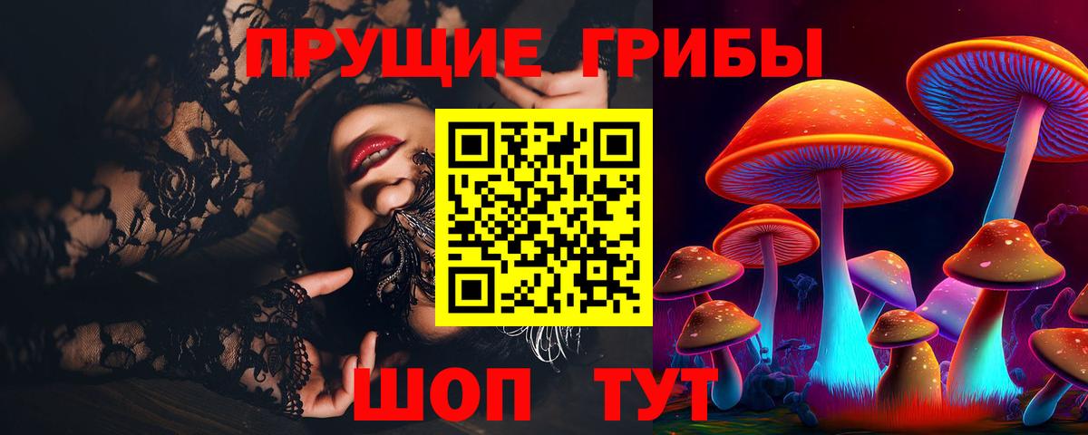 Галлюциногенные грибы Psilocybe  Вход с VPN  Лысьва 